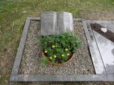image of grave number 459007